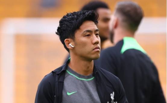 娱乐综合体股表现突出